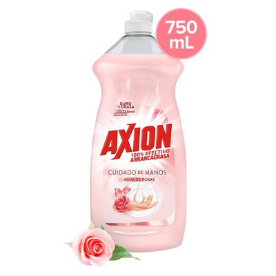 Axion